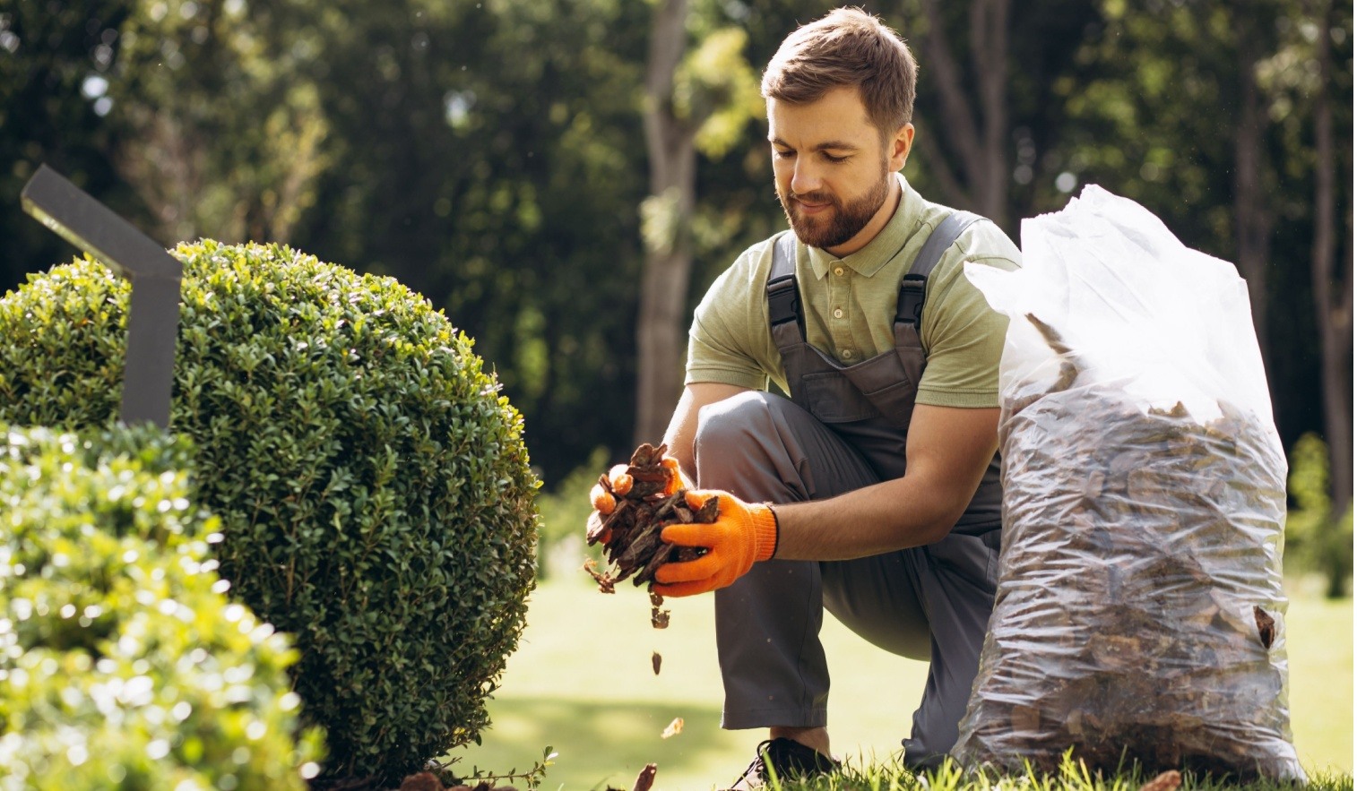 Facility Services: ventajas de los servicios de jardinería sostenible y solidaria